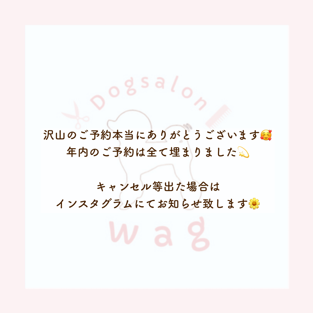 12月のご予約について