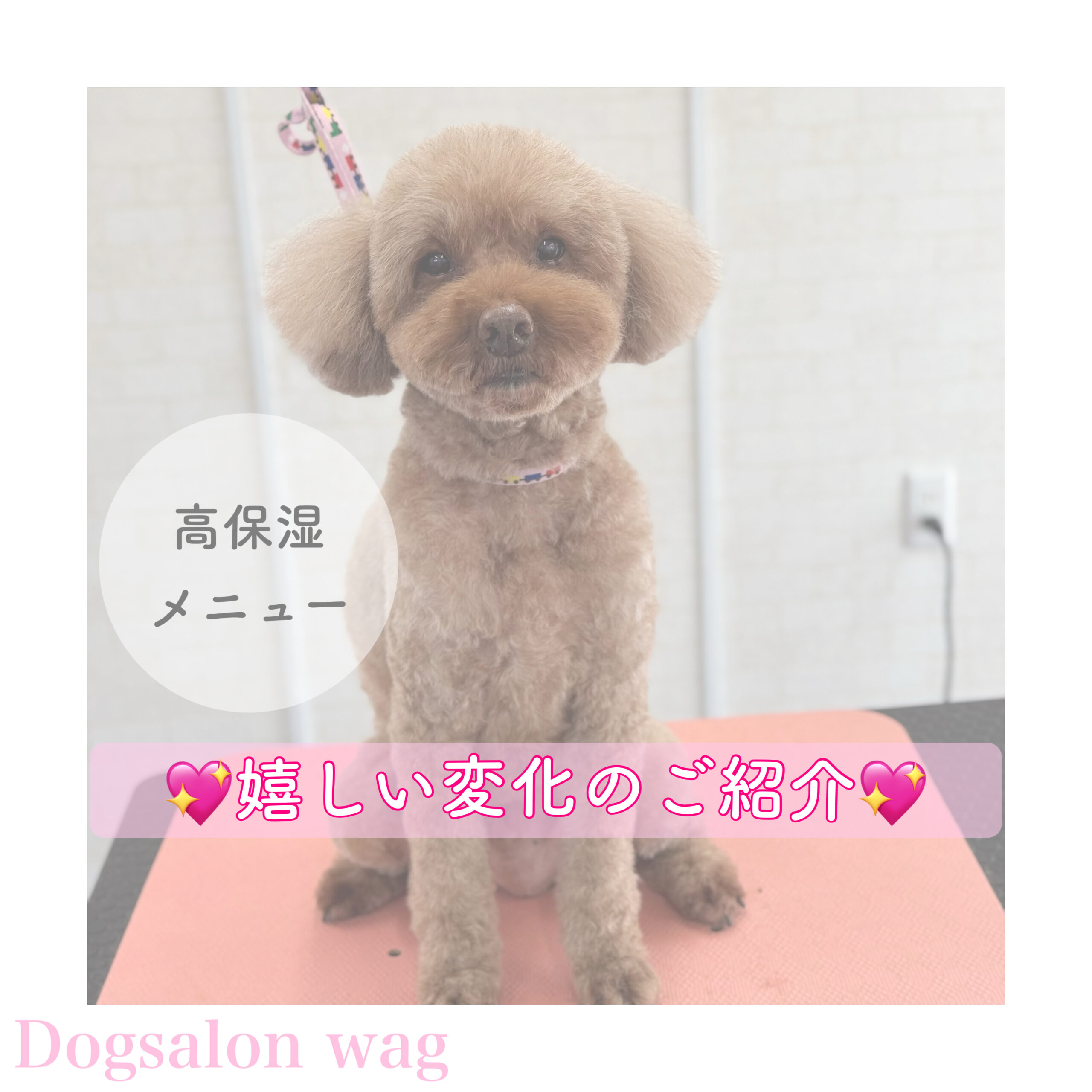 “保湿メニュー“🌟嬉しい変化のご紹介🌟