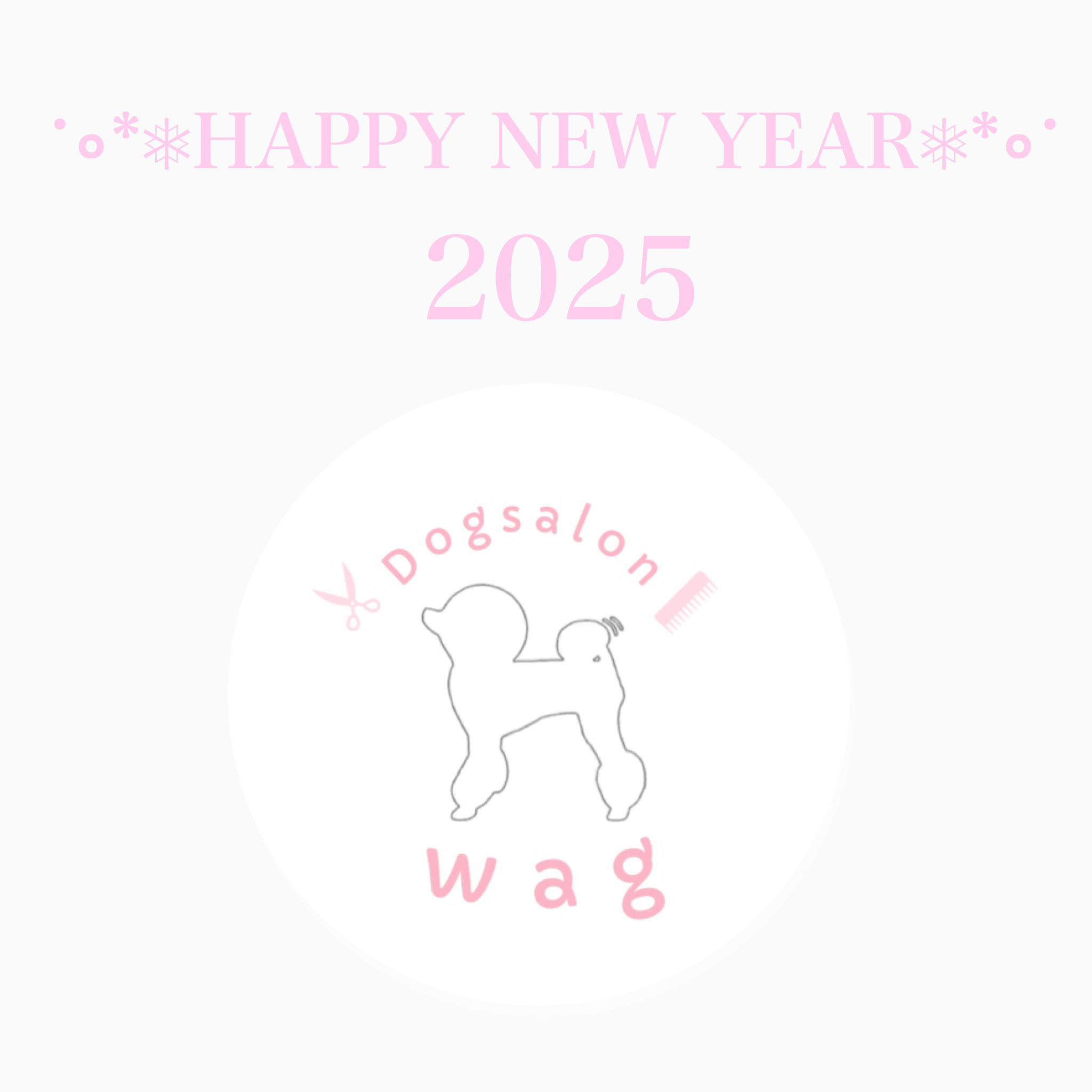 新年のご挨拶✨️
